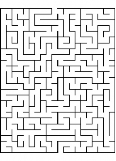 Лабиринт #1557