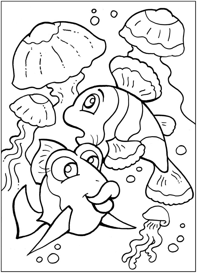 В поисках немо - картинка