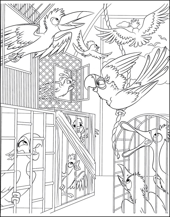 Птицы в клетках