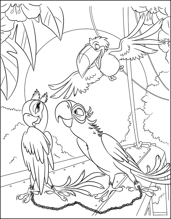 Голубчик заигрывает к Жемчужинке