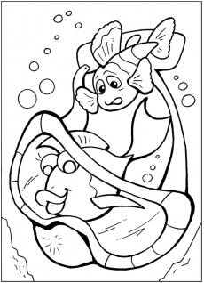 В поисках немо - картинка