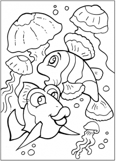 В поисках немо - картинка