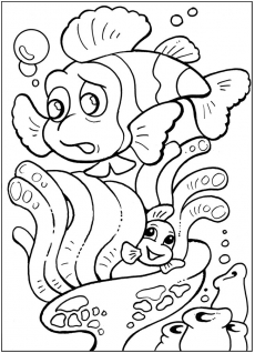 В поисках немо - картинка