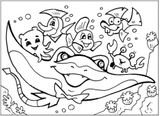 В поисках немо - картинка